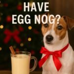 Can Dogs Have Egg Nog? A Complete Guide for Pet Owners