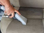 How to Get Dog Hair Out of Car Carpet: Easy and Effective Methods